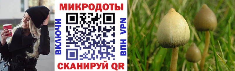 Псилоцибиновые грибы Cubensis  мориарти состав  Ижевск 
